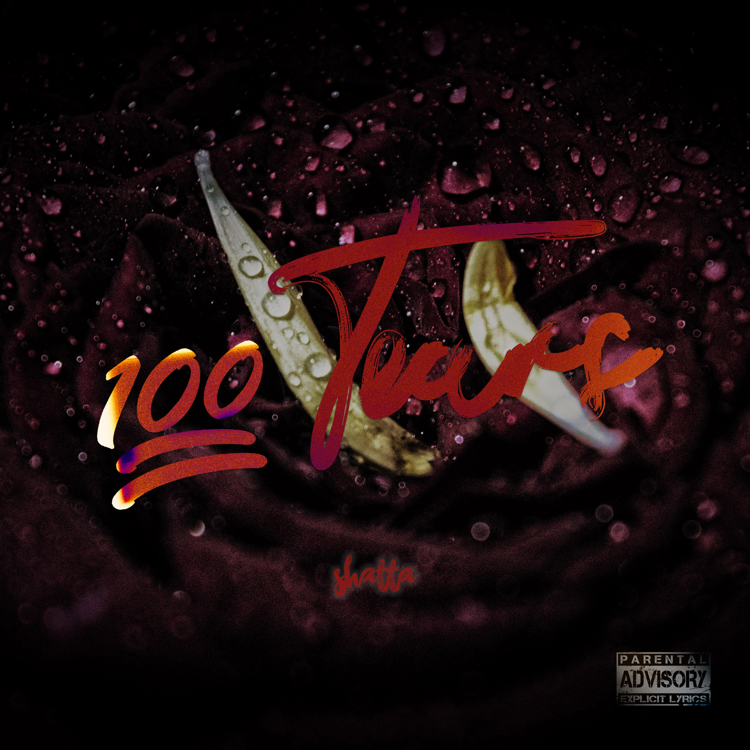 Shatta feat. Shalina – 100 Tears (Prod. By IanoBeatz x AB)